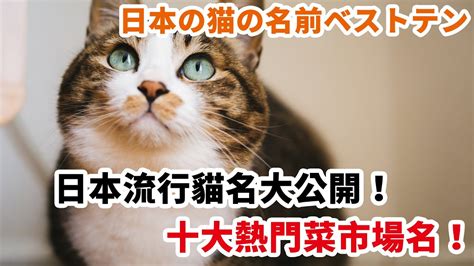 貓名 男 嫻五行